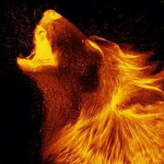 Fire_wolf_guardian Avatar
