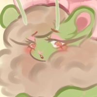 Thumbnail for PET-001