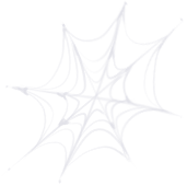 Spiderweb #1