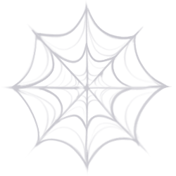 Spiderweb #3