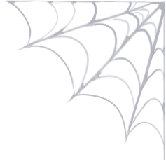 Spiderweb #5