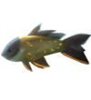 Carp