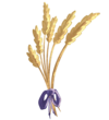 Wheat